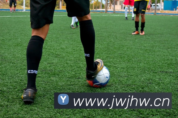 星空体育首页官网平台生态图